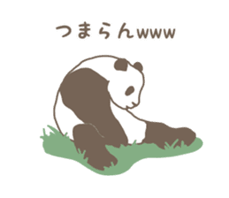A little funny panda sticker #5205058