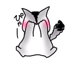 flying squirrel life sticker #5210981