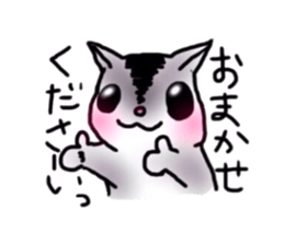 flying squirrel life sticker #5211005