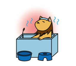 Lion's everyday sticker #5211302