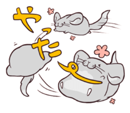 i am Chinchilla sticker #5212509