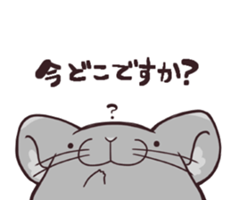 i am Chinchilla sticker #5212516