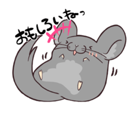 i am Chinchilla sticker #5212524