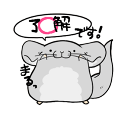 i am Chinchilla sticker #5212525
