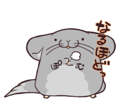 i am Chinchilla sticker #5212527