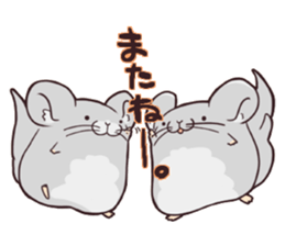 i am Chinchilla sticker #5212528
