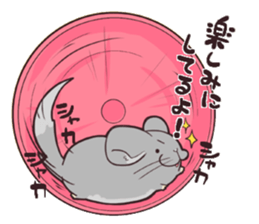 i am Chinchilla sticker #5212530