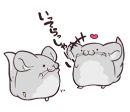 i am Chinchilla sticker #5212536