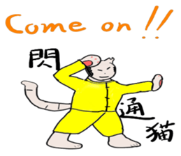 "Chi-kunn"The Tai chi cat sticker #5212929