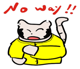 "Chi-kunn"The Tai chi cat sticker #5212936