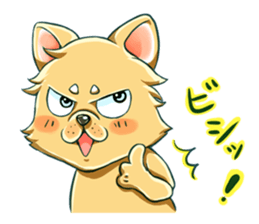 maroken sticker #5213667