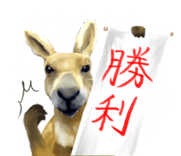 KANJI Kangaroo sticker #5214218