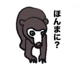 Murray of bear sticker #5215495