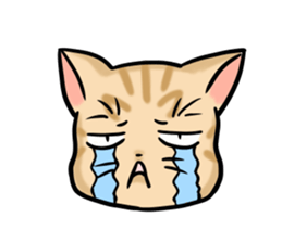 Dull Cats sticker #5217886