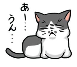 Dull Cats sticker #5217888