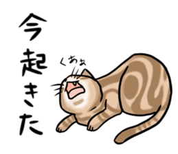 Dull Cats sticker #5217907