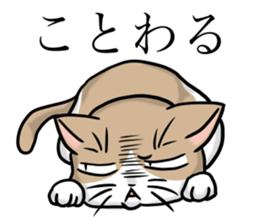 Dull Cats sticker #5217919