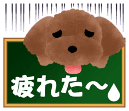 toy-poodle sticker #5219046