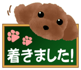 toy-poodle sticker #5219065