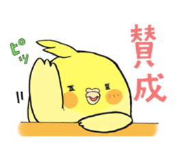 Perfectly round of true parrots (part.3) sticker #5219208