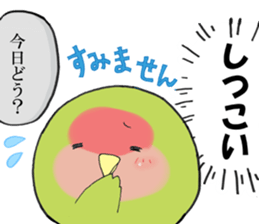 Perfectly round of true parrots (part.3) sticker #5219216