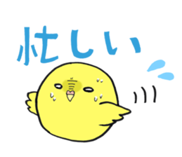 Perfectly round of true parrots (part.3) sticker #5219226