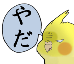 Perfectly round of true parrots (part.3) sticker #5219232