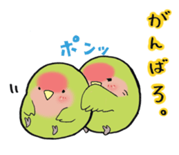 Perfectly round of true parrots (part.3) sticker #5219236