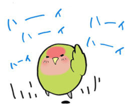 Perfectly round of true parrots (part.3) sticker #5219237