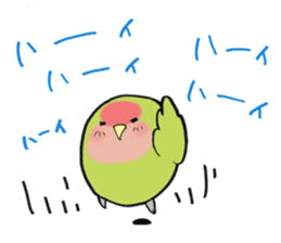 Perfectly round of true parrots (part.3) sticker #5219237