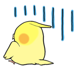 Perfectly round of true parrots (part.3) sticker #5219242