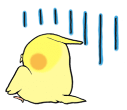 Perfectly round of true parrots (part.3) sticker #5219242
