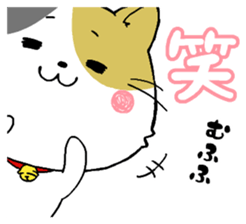 Sticker of a cute cat sticker #5228181