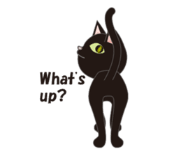 Niya of black cat (English) sticker #5233638