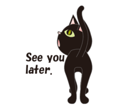 Niya of black cat (English) sticker #5233642