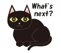 Niya of black cat (English) sticker #5233646