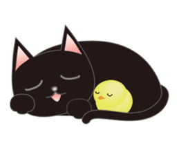 Niya of black cat (English) sticker #5233649