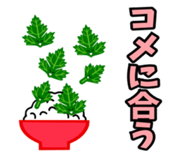 Fresh coriander sticker #5236599