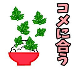 Fresh coriander sticker #5236599