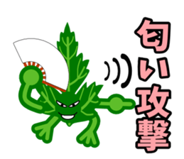 Fresh coriander sticker #5236600