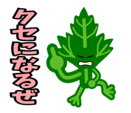 Fresh coriander sticker #5236602