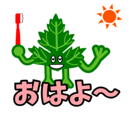 Fresh coriander sticker #5236604