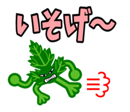 Fresh coriander sticker #5236607