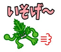 Fresh coriander sticker #5236607