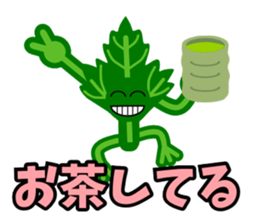 Fresh coriander sticker #5236611