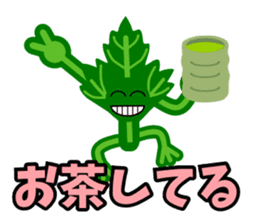 Fresh coriander sticker #5236611