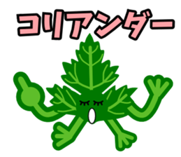 Fresh coriander sticker #5236613