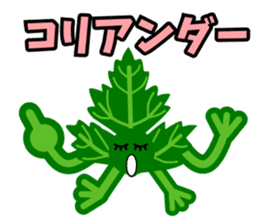 Fresh coriander sticker #5236613