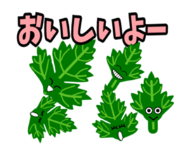 Fresh coriander sticker #5236616