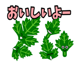Fresh coriander sticker #5236616